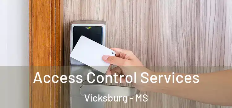 Access Control Services Vicksburg - MS