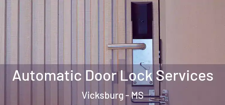 Automatic Door Lock Services Vicksburg - MS