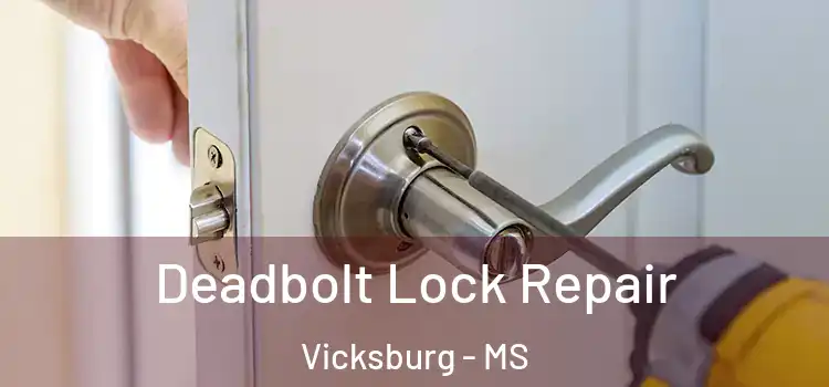 Deadbolt Lock Repair Vicksburg - MS