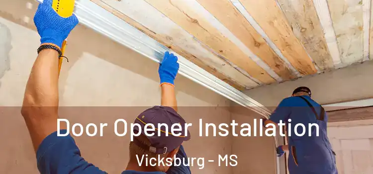 Door Opener Installation Vicksburg - MS