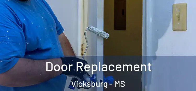 Door Replacement Vicksburg - MS