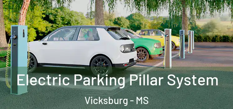 Electric Parking Pillar System Vicksburg - MS