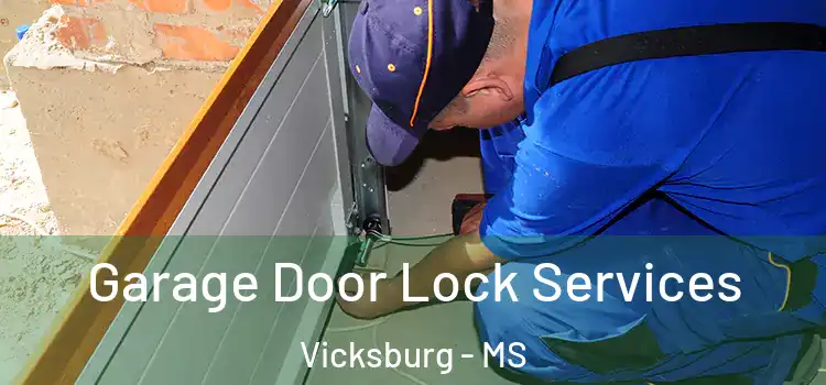 Garage Door Lock Services Vicksburg - MS