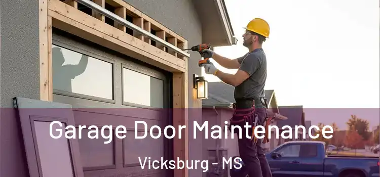 Garage Door Maintenance Vicksburg - MS