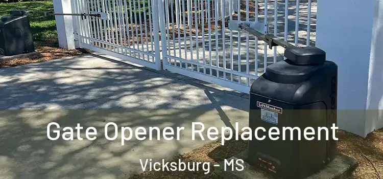 Gate Opener Replacement Vicksburg - MS
