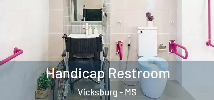 Handicap Restroom Vicksburg - MS