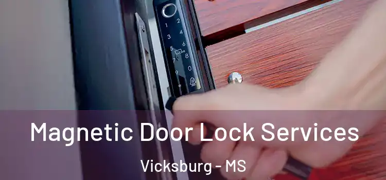 Magnetic Door Lock Services Vicksburg - MS