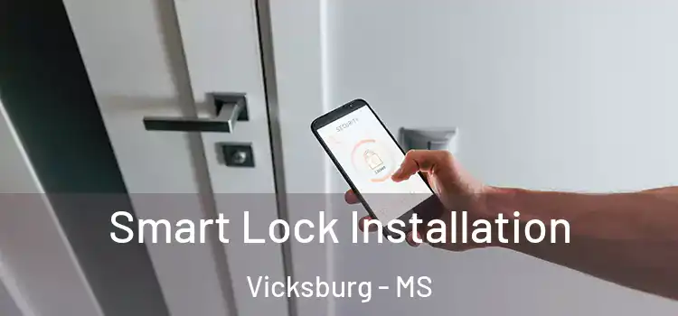 Smart Lock Installation Vicksburg - MS